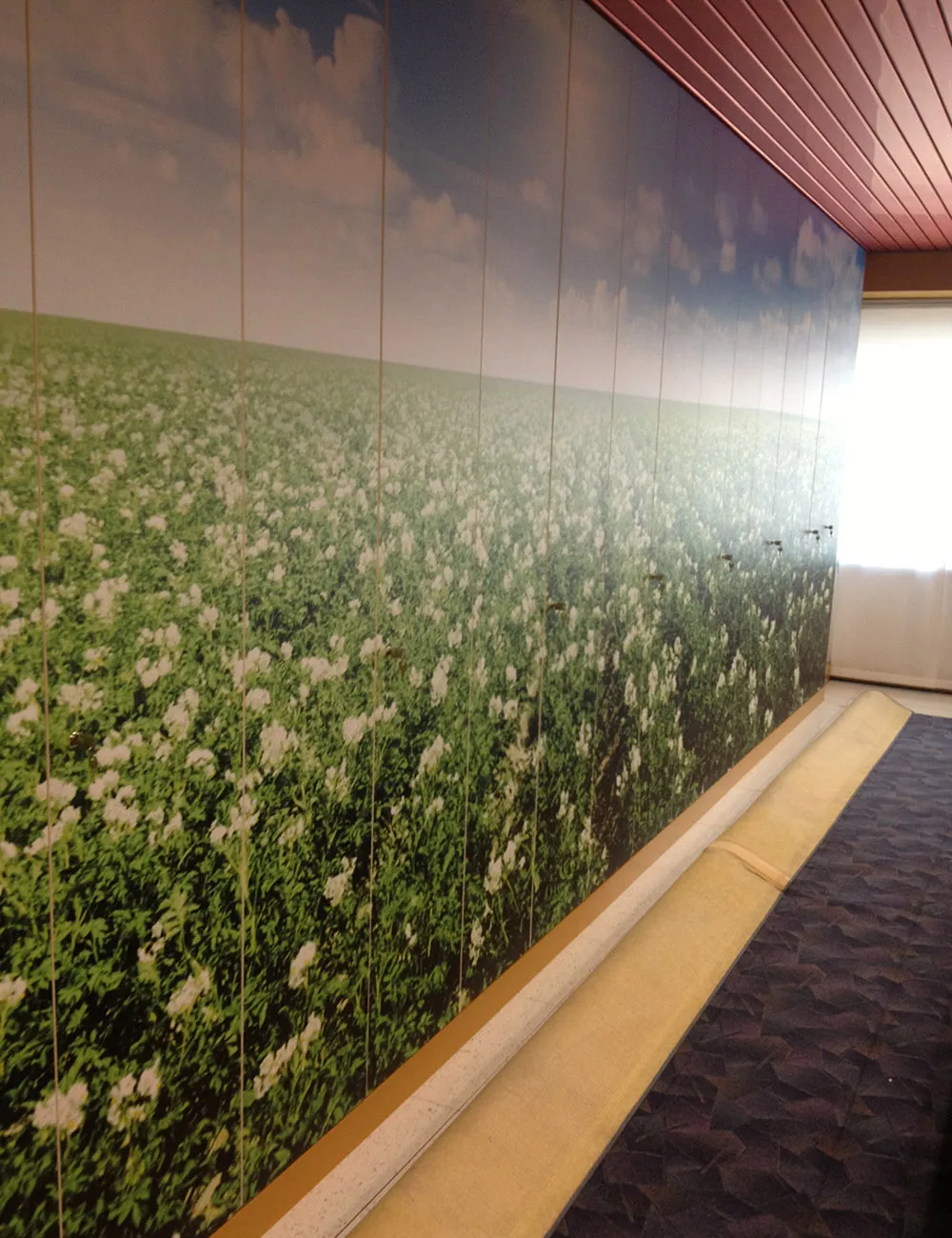 Corridoio interno con parete rivestita da una stampa fotografica panoramica raffigurante un campo fiorito con fiori bianchi e cielo azzurro, soffitto in legno lamellare rosso e pavimento in moquette scura.